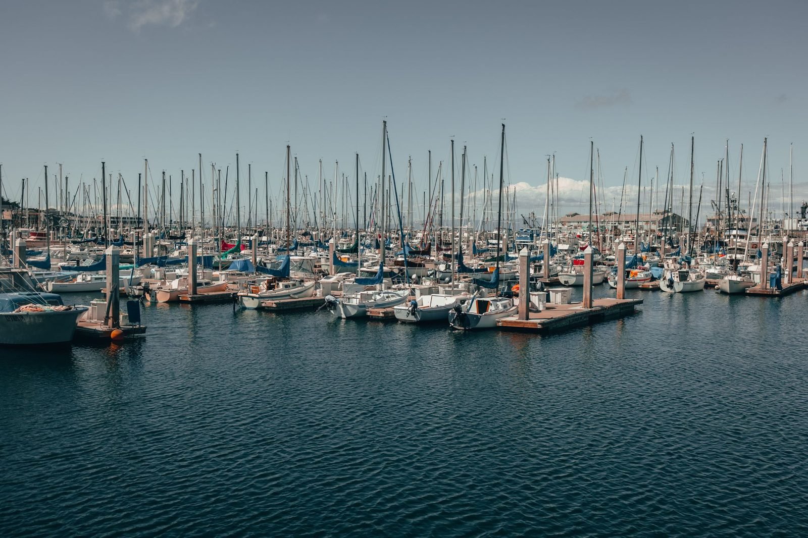 Marina com veleiros atracados